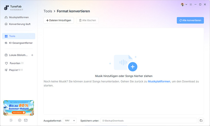Die Hauptseite von Format-Konverter