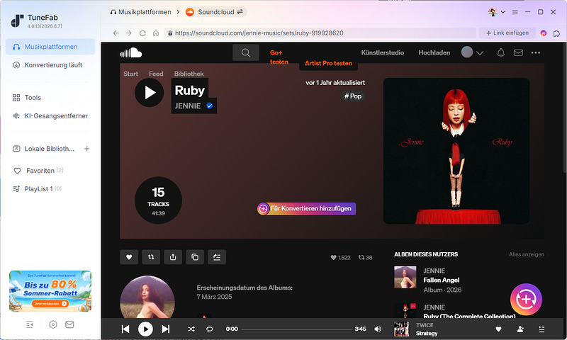 Musikdienst auswählen auf TuneFab